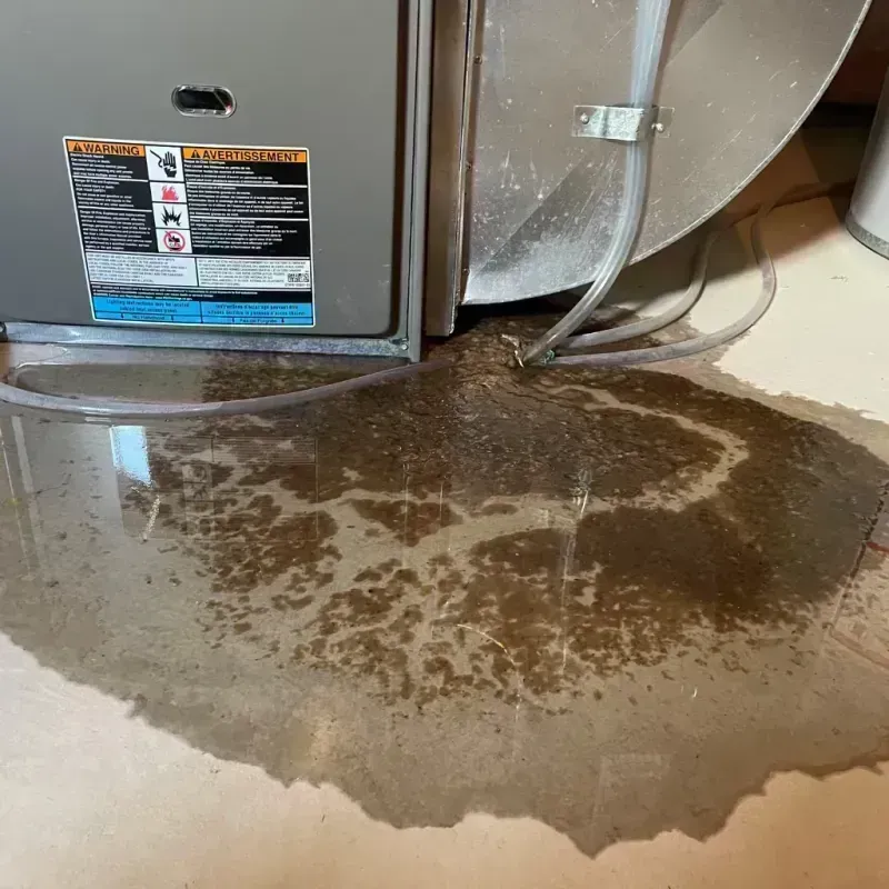 Appliance Leak Cleanup in Mountain View, MO